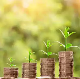 finance verte
