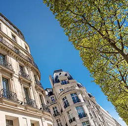 immo paris