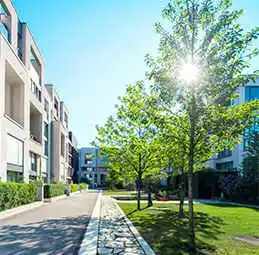 immobilier