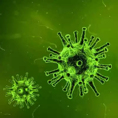 Coronavirus : la Bourse chahutée