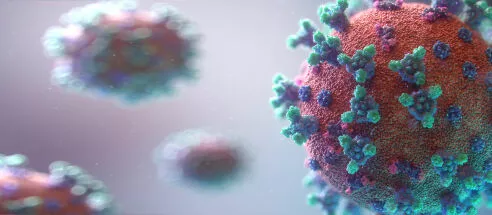 Coronavirus : 5 raisons pour lesquelles les prix de l'immobilier neuf ne devraient pas baisser ?