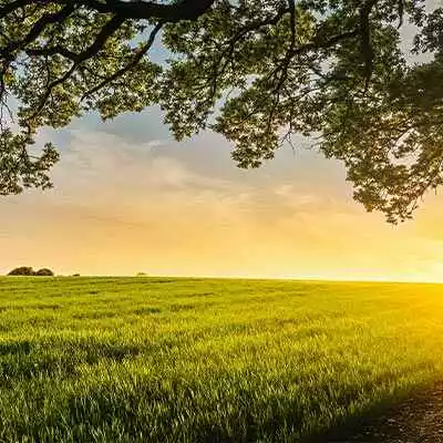 Natixis lance une série sur le thème : « Révolution digitale, Révolution environnementale ».