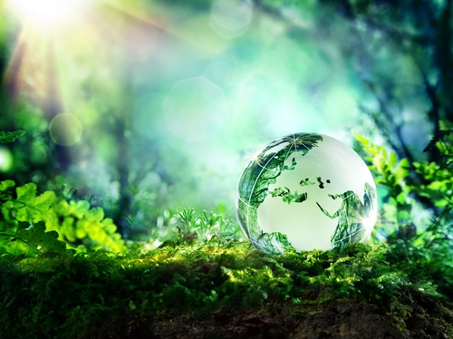 Finance verte et écologie : Comment la finance s’adapte-t-elle à l’environnement ?